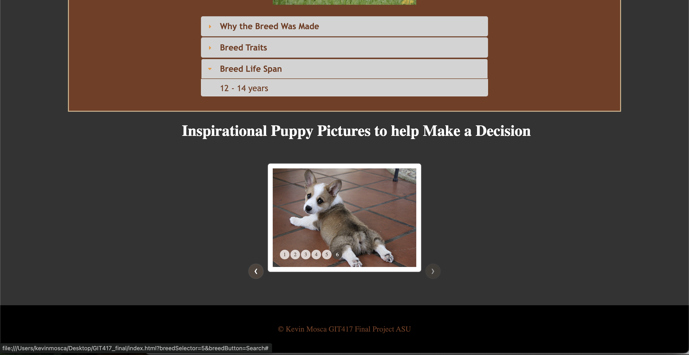 Ajays Log in Attempt